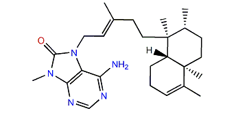 (-)-8'-oxo-Agelasine B